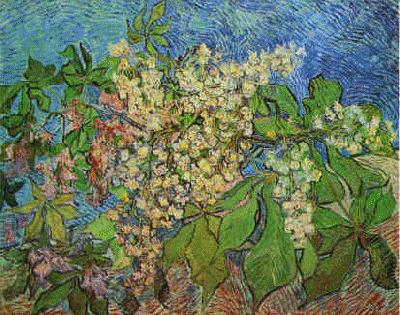 Vincent Van Gogh White Flowers with Blue Background